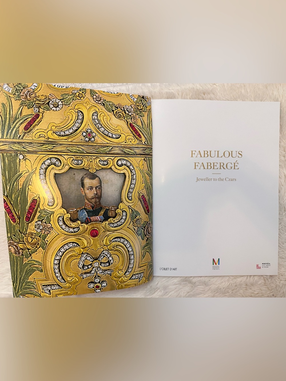 Book cover/opening page image